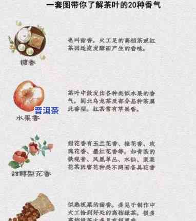 普洱茶香气概述40字：怎样准确描述其特别风味？