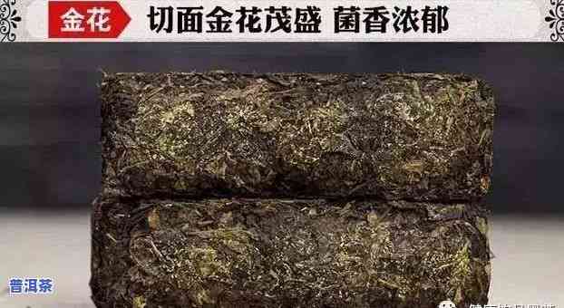 普洱茶金花是什么，探秘普洱茶中的神秘元素：金花是什么？