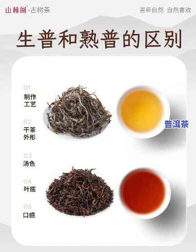 普洱茶的口感与味道解析：从生普到熟普，怎样鉴别好茶？