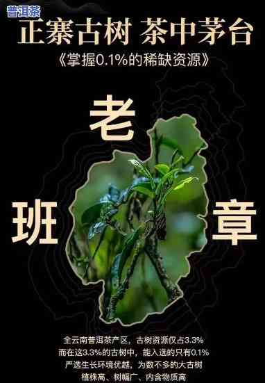 一句话形容老班章的茶：口感浓郁，回甘持久，香气特别，是普洱茶中的佳品。