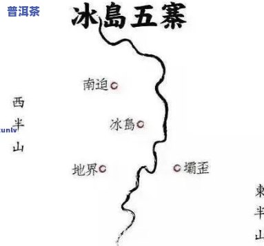 冰岛普洱茶是什么？含义、特点及产地解析