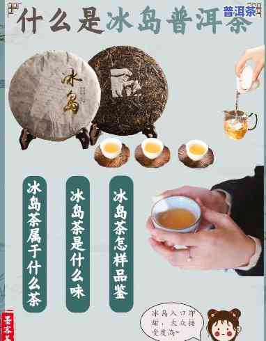 冰岛普洱茶  姐是谁-冰岛普洱茶  姐是谁啊