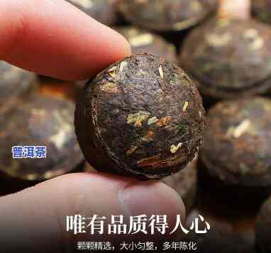 普洱糯米香沱茶熟茶还是生茶，普洱糯米香沱茶：熟茶与生茶的口感对比