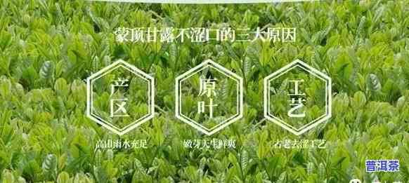 普洱茶叶单价，熟悉普洱茶叶价格，品味特别的茶香！