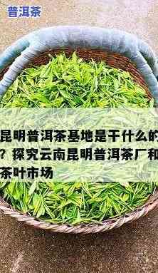 昆明普洱茶初制所地址-昆明普洱茶初制所地址在哪里