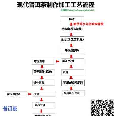 探究普洱贡茶的制作工艺：种类与步骤全解析