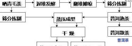 探究普洱贡茶的制作工艺：种类与步骤全解析