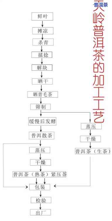 普洱贡茶的制作工艺-普洱贡茶的制作工艺流程