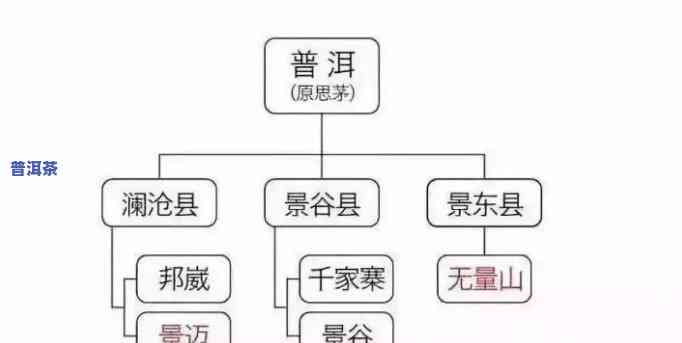 探究普洱茶不同产区口感差异的起因