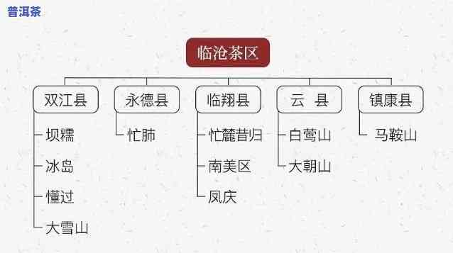 探究普洱茶不同产区口感差异的起因