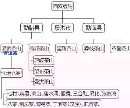 探究普洱茶不同产区口感差异的起因