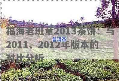 福海茶厂2012年老班章古树：探究其价格与2017年的对比