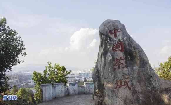 云南普洱是个什么城市，探秘茶都：云南普洱的特别魅力与文化