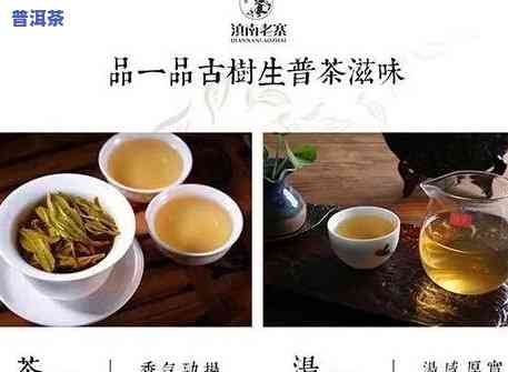 普洱茶消费者定位方法-普洱茶消费者定位方法有哪些