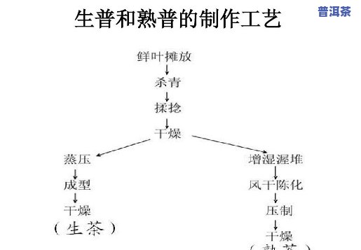 普洱熟茶的制作流程-普洱熟茶的制作工艺流程