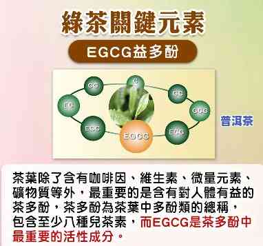 普洱茶有egcg吗，揭秘普洱茶的健康成分：是不是含有EGCG？