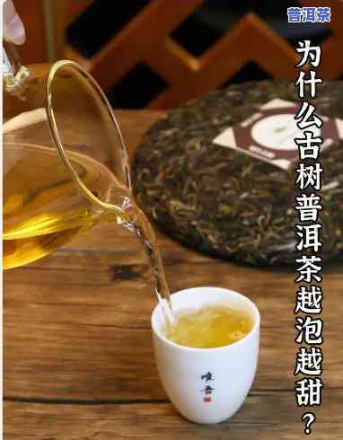 普洱茶是甜的吗，揭秘普洱茶：它真的甜吗？