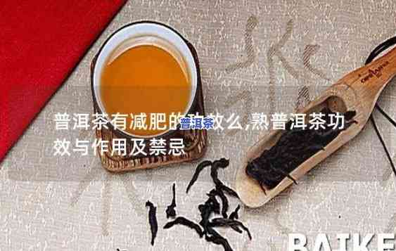 普洱茶笋壳盖头定制价格多少？一斤多少钱？全网更低价！