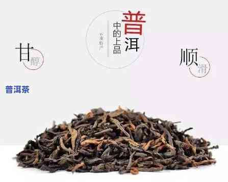 熟普洱茶刮油吗？正确饮用方法是什么？