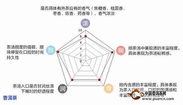 普洱熟茶滋味描述：怎样准确描绘其口感特性？