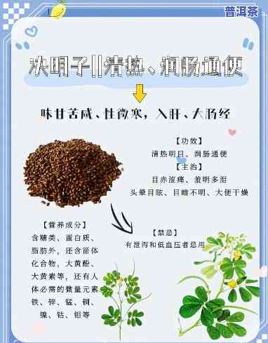 决明子和茉莉茶的功效，喝决明子茉莉茶，养生保健效果好！