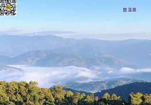 云南普洱在哪个高原-云南普洱在哪个高原地区