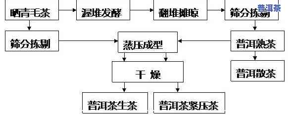 探究普洱熟茶的历史演变：从产地到制作工艺