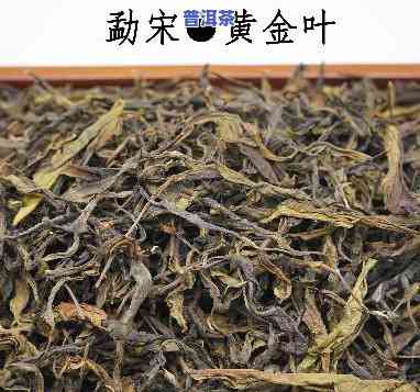 金叶茶普洱茶价格查询：多少钱一包？