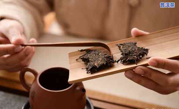 普洱熟茶没香没味道-普洱熟茶没香没味道怎么回事