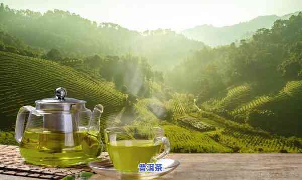 普洱茶哪款适合减肥喝-普洱茶哪款适合减肥喝的