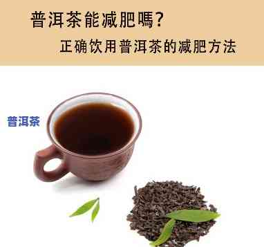 哪种普洱茶最适合减肥？效果更好的是哪一种？