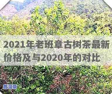 2021年老班章古树茶最新价格，「2021」老班章古树茶价格行情最新公布！