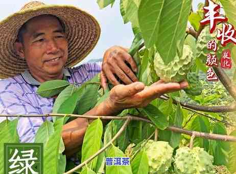 最新！普洱曼中田温泉价格及庄园介绍，一文带你熟悉云南普洱曼中田温泉全貌