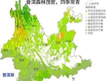 云南普洱中海拔体育-普洱市海拔