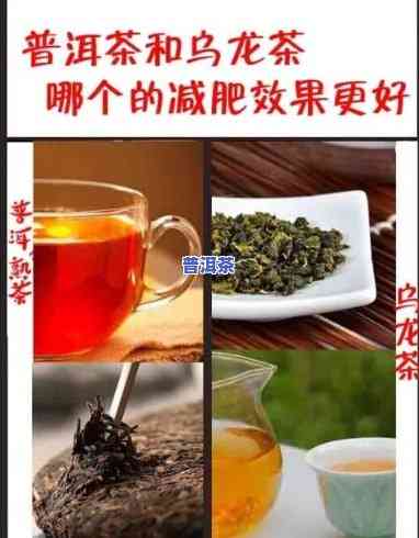 乌龙普洱茶哪个更能有效减肥？探讨比较结果