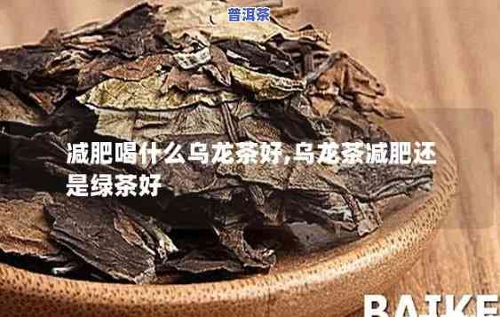 乌龙普洱茶哪个更能有效减肥？探讨比较结果