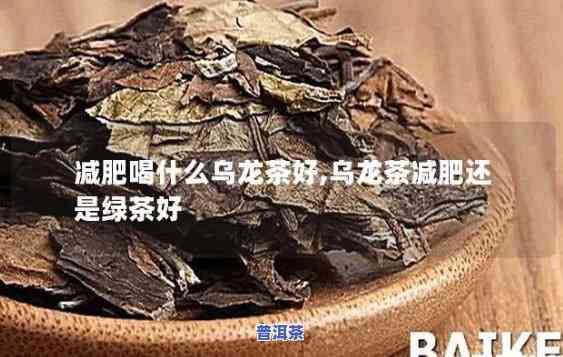 乌龙还是普洱减肥，乌龙茶or普洱茶：哪种更适合减肥？