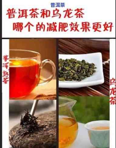 乌龙普洱茶哪个更减肥-乌龙普洱茶哪个更减肥效果好