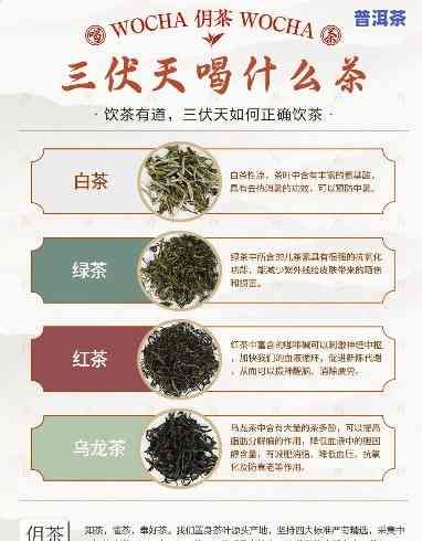 三伏天可以喝茶吗，三伏天喝什么茶好？