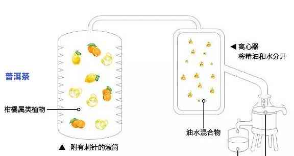 普洱茶冷萃机工作原理视频教程详解