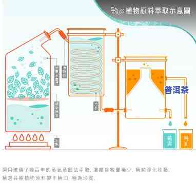 普洱茶冷萃机工作原理视频教程详解