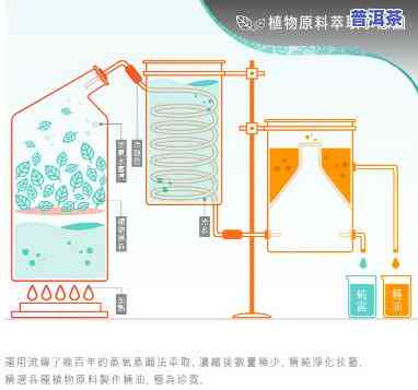 普洱茶冷萃机工作原理图解，揭示普洱茶冷萃机制作的秘密：详细工作原理解析