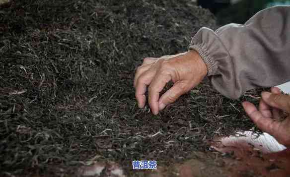 普洱熟茶那年发明的-普洱熟茶那年发明的是什么茶