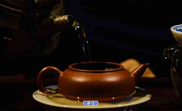 紫砂壶普洱茶润茶视频讲解教程大全