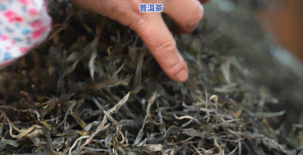 普洱茶怎样发酵存放好一点，让普洱茶焕发新味：优化发酵与存放技巧