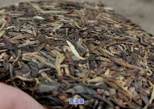 普洱茶什么价钱更好喝-普洱茶什么价钱更好喝的