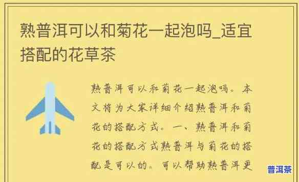 普洱加菊花一起泡吗？能喝吗？答案在这里！