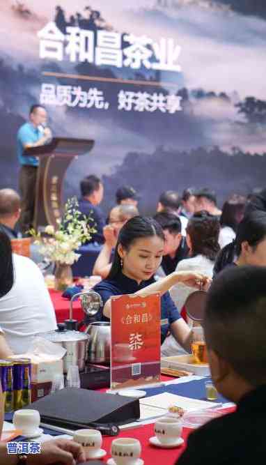 天合普洱会，探索茶文化之旅：天合普洱会的茶叶品鉴体验