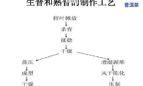 普洱熟茶最关键的工艺是什么，「揭秘」普洱熟茶最关键的工艺究竟是什么？