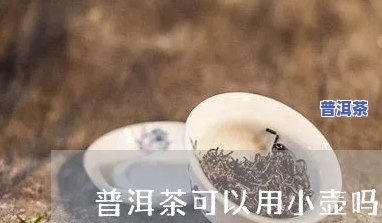 普洱茶用小茶壶可以吗-普洱茶用小茶壶可以吗图片